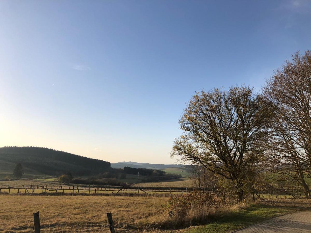Ferienhaus Kuestelblick Medebach Exteriér fotografie