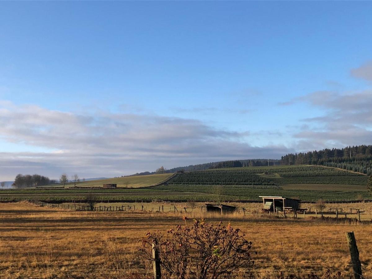 Ferienhaus Kuestelblick Medebach Exteriér fotografie